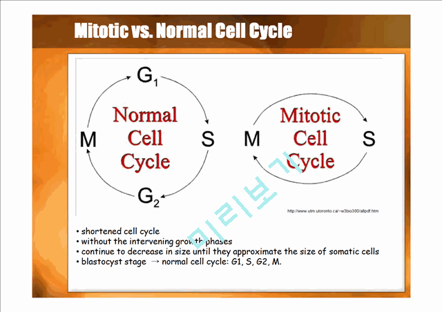 DEVELOPMENTAL BIOLOGY   (8 )